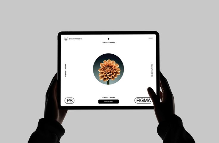 UI UX focused web development services