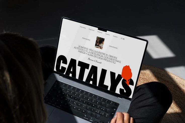 App and web solutions for Indian businesses